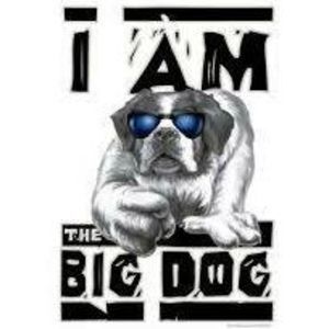 Meet your Posher, Shawn